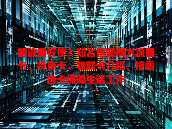 想流量好使？知名运营商大流量卡、特色卡、物联卡介绍，按需选卡保障生活工作