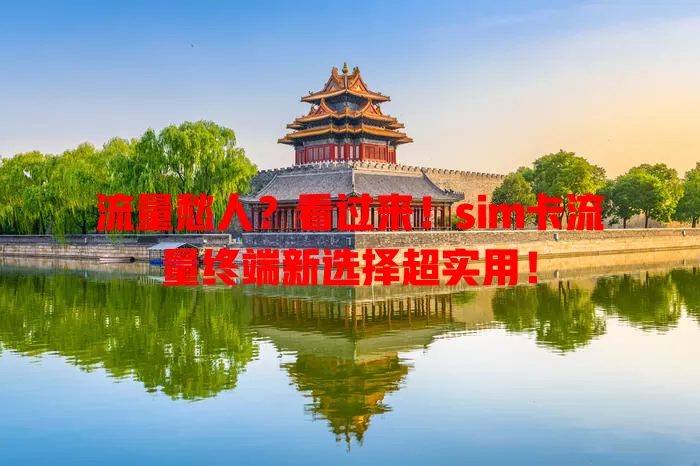流量愁人？看过来！sim卡流量终端新选择超实用！