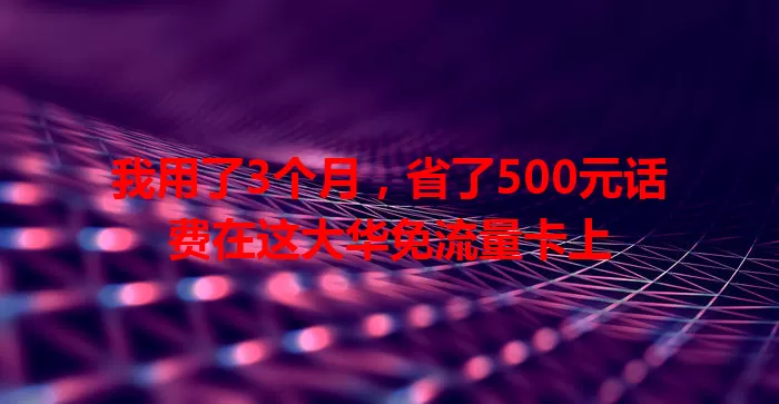 我用了3个月，省了500元话费在这大华免流量卡上