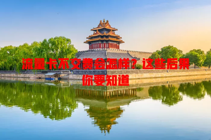 流量卡不交费会怎样？这些后果你要知道