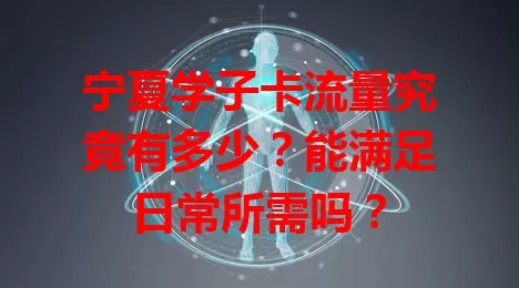 宁夏学子卡流量究竟有多少？能满足日常所需吗？