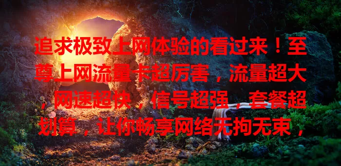 追求极致上网体验的看过来！至尊上网流量卡超厉害，流量超大，网速超快，信号超强，套餐超划算，让你畅享网络无拘无束，别犹豫，赶紧开启极致上网之旅！