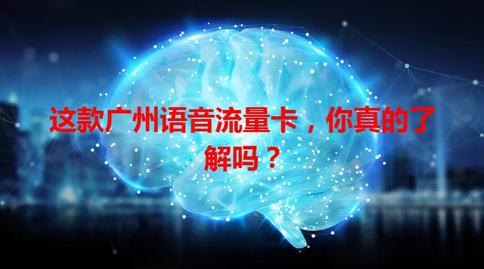 这款广州语音流量卡，你真的了解吗？