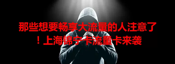 那些想要畅享大流量的人注意了！上海锦宁卡流量卡来袭