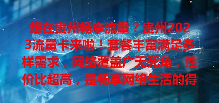 想在贵州畅享流量？贵州2023流量卡来啦！套餐丰富满足多样需求，网络覆盖广无死角，性价比超高，是畅享网络生活的得力助手，值得选！