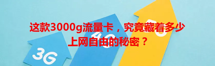 这款3000g流量卡，究竟藏着多少上网自由的秘密？