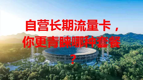 自营长期流量卡，你更青睐哪种套餐？