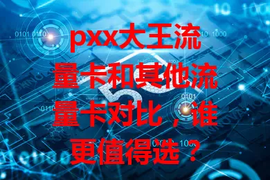 pxx大王流量卡和其他流量卡对比，谁更值得选？
