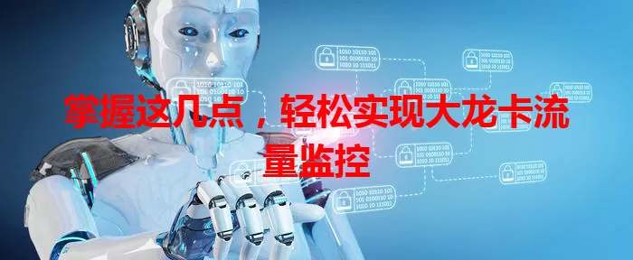 掌握这几点，轻松实现大龙卡流量监控