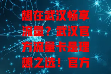 想在武汉畅享流量？武汉官方流量卡是理想之选！官方出品品质保障，流量足套餐多，价格实惠服务优，还有贴心客服全程无忧，助你随时随地畅享精彩网络