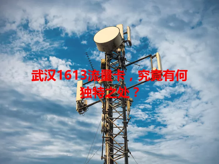 武汉1613流量卡，究竟有何独特之处？