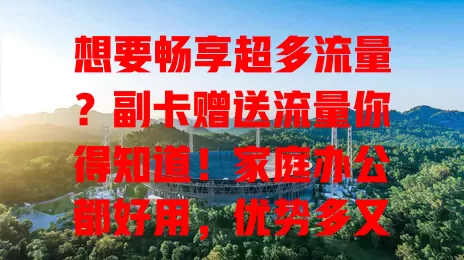 想要畅享超多流量？副卡赠送流量你得知道！家庭办公都好用，优势多又超便捷，轻松解决流量烦恼