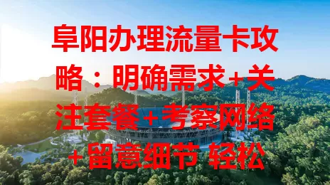 阜阳办理流量卡攻略：明确需求+关注套餐+考察网络+留意细节 轻松搞定