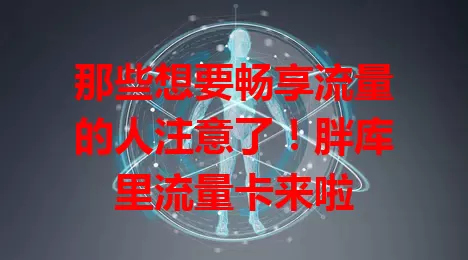 那些想要畅享流量的人注意了！胖库里流量卡来啦