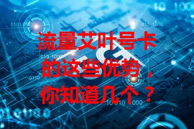 流量艾叶号卡的这些优势，你知道几个？