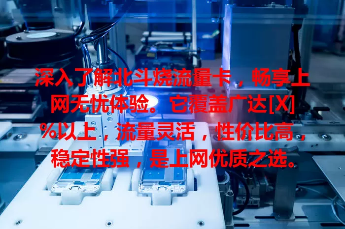 深入了解北斗烧流量卡，畅享上网无忧体验。它覆盖广达[X]%以上，流量灵活，性价比高，稳定性强，是上网优质之选。