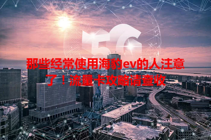那些经常使用海豹ev的人注意了！流量卡攻略请查收