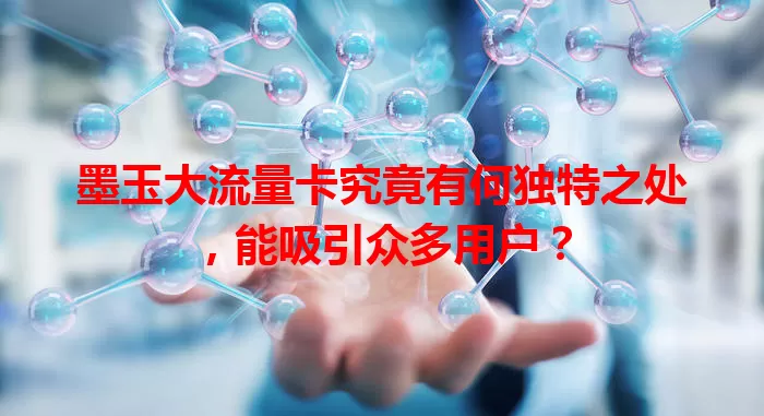 墨玉大流量卡究竟有何独特之处，能吸引众多用户？