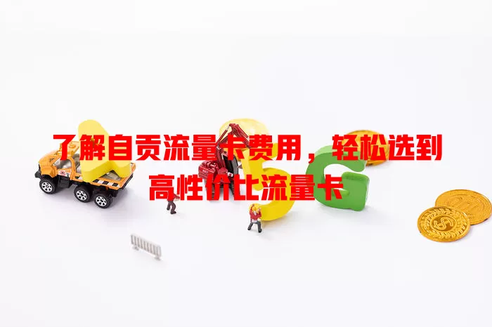 了解自贡流量卡费用，轻松选到高性价比流量卡