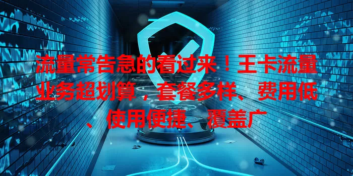 流量常告急的看过来！王卡流量业务超划算，套餐多样、费用低、使用便捷、覆盖广