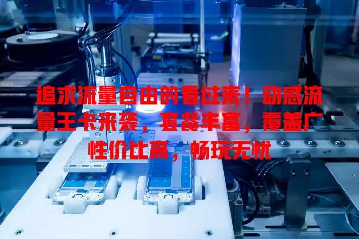 追求流量自由的看过来！动感流量王卡来袭，套餐丰富，覆盖广性价比高，畅玩无忧