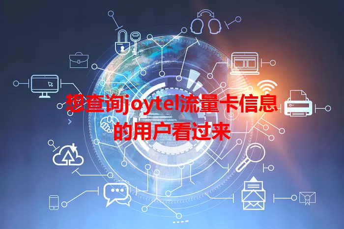 想查询joytel流量卡信息的用户看过来