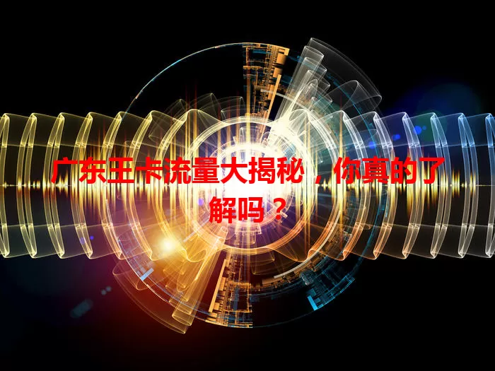 广东王卡流量大揭秘，你真的了解吗？