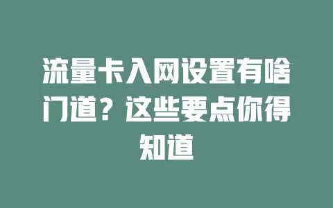 流量卡入网设置有啥门道？这些要点你得知道