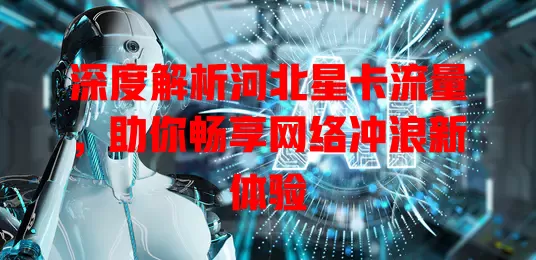 深度解析河北星卡流量，助你畅享网络冲浪新体验