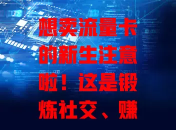 想卖流量卡的新生注意啦！这是锻炼社交、赚取收入的好机会，但要了解业务、应对竞争，注重诚信，做好准备才能走出独特销售路