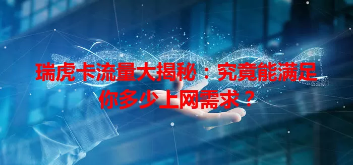 瑞虎卡流量大揭秘：究竟能满足你多少上网需求？