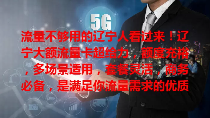 流量不够用的辽宁人看过来！辽宁大额流量卡超给力，额度充裕，多场景适用，套餐灵活，商务必备，是满足你流量需求的优质之选