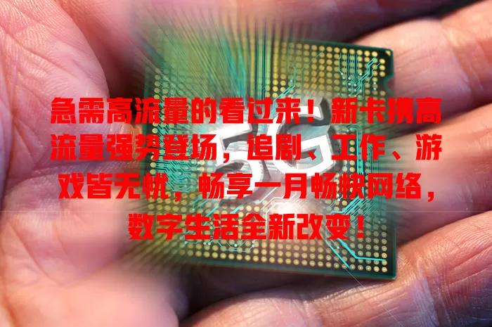 急需高流量的看过来！新卡携高流量强势登场，追剧、工作、游戏皆无忧，畅享一月畅快网络，数字生活全新改变！