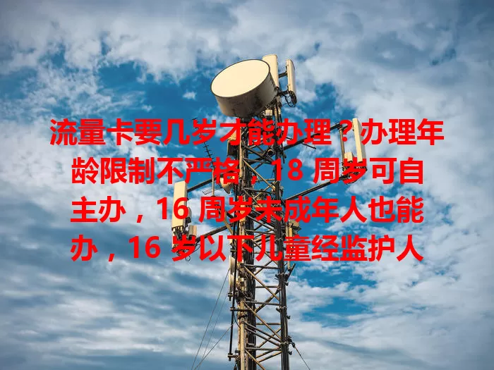 流量卡要几岁才能办理？办理年龄限制不严格，18 周岁可自主办，16 周岁未成年人也能办，16 岁以下儿童经监护人同意可用其身份证办副卡，未成年人用卡需家长引导，不同运营商规定有差异
