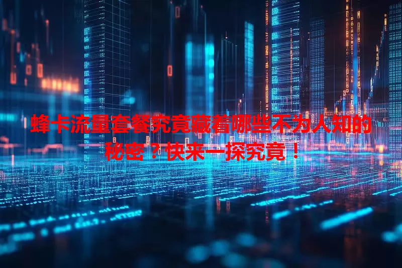 蜂卡流量套餐究竟藏着哪些不为人知的秘密？快来一探究竟！