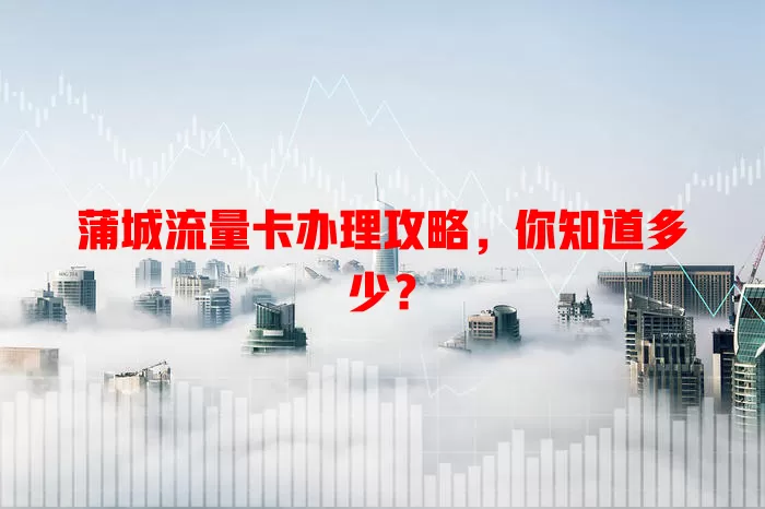 蒲城流量卡办理攻略，你知道多少？