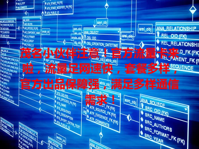 茂名小伙伴注意！官方流量卡来啦，流量足网速快，套餐多样，官方出品保障强，满足多样通信需求！