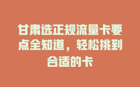 甘肃选正规流量卡要点全知道，轻松挑到合适的卡