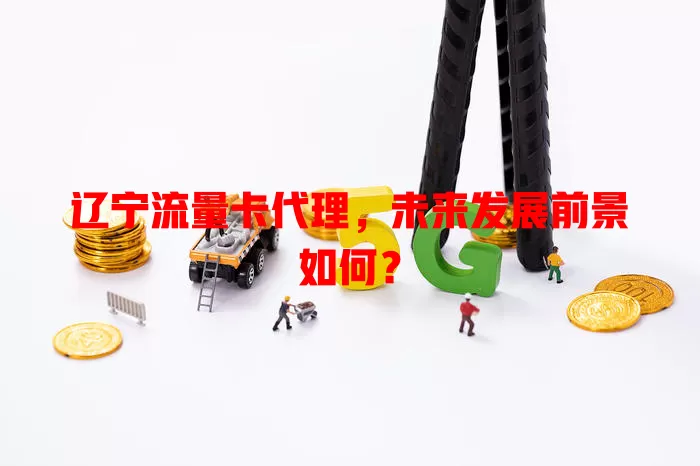 辽宁流量卡代理，未来发展前景如何？