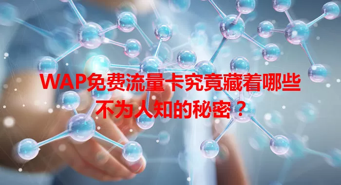 WAP免费流量卡究竟藏着哪些不为人知的秘密？