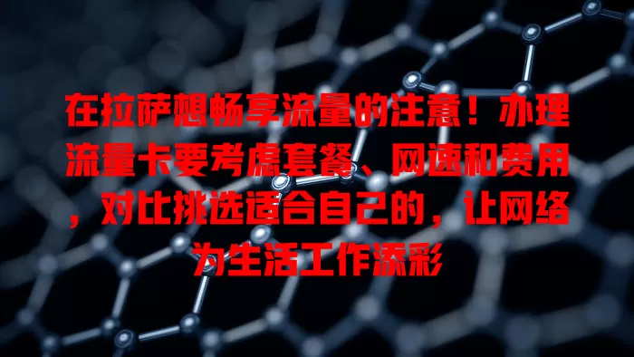 在拉萨想畅享流量的注意！办理流量卡要考虑套餐、网速和费用，对比挑选适合自己的，让网络为生活工作添彩