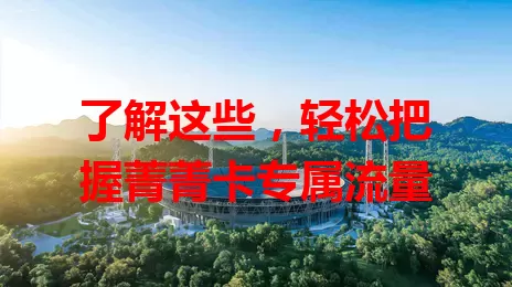 了解这些，轻松把握菁菁卡专属流量