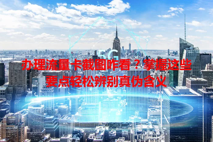 办理流量卡截图咋看？掌握这些要点轻松辨别真伪含义