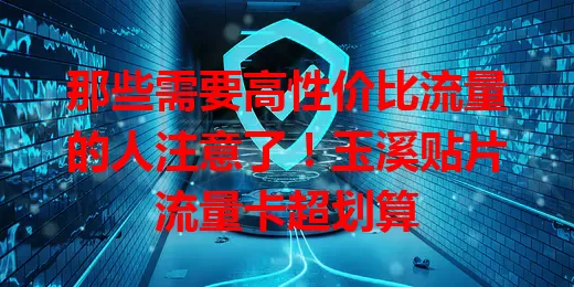 那些需要高性价比流量的人注意了！玉溪贴片流量卡超划算