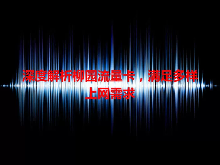 深度解析柳园流量卡，满足多样上网需求