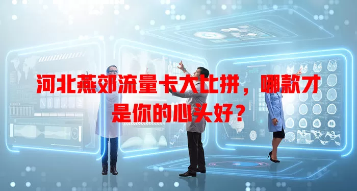 河北燕郊流量卡大比拼，哪款才是你的心头好？