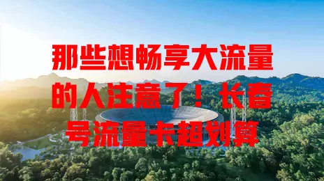 那些想畅享大流量的人注意了！长春号流量卡超划算