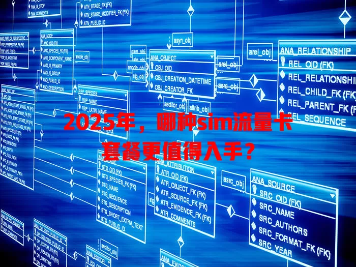 2025年，哪种sim流量卡套餐更值得入手？