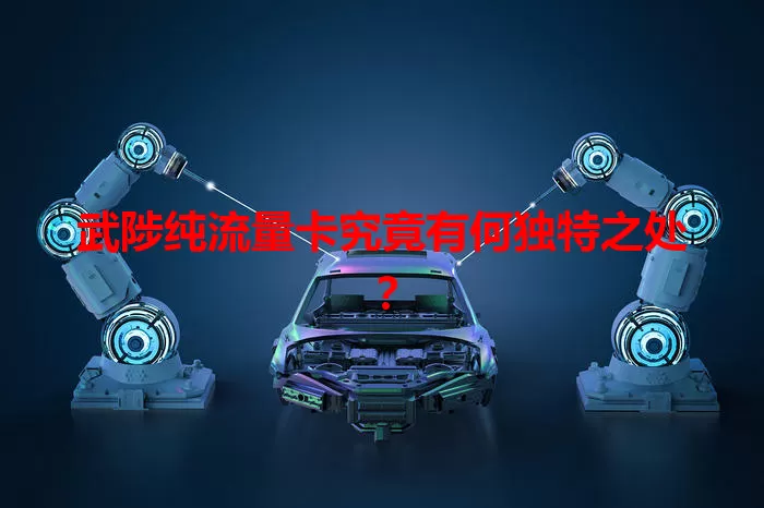 武陟纯流量卡究竟有何独特之处？