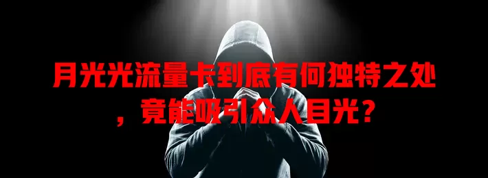 月光光流量卡到底有何独特之处，竟能吸引众人目光？
